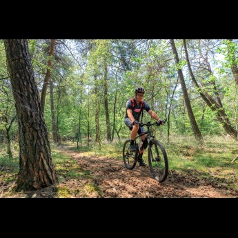 Camping de Holterberg - camping in Overijssel  - Mountainbiken bij Holterberg