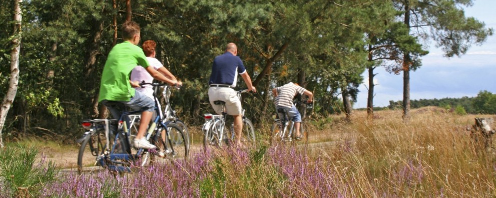 Fietsen / Fietsverhuur