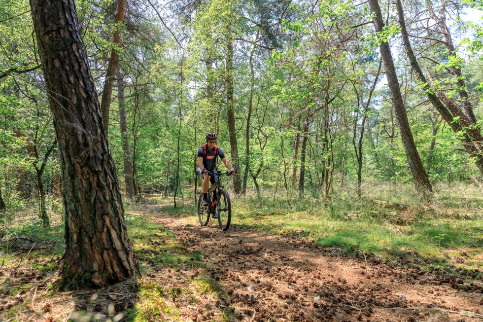 Camping de Holterberg - camping in Overijssel  - Mountainbiken bij Holterberg