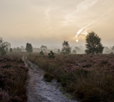 Sallandse Heuvelrug