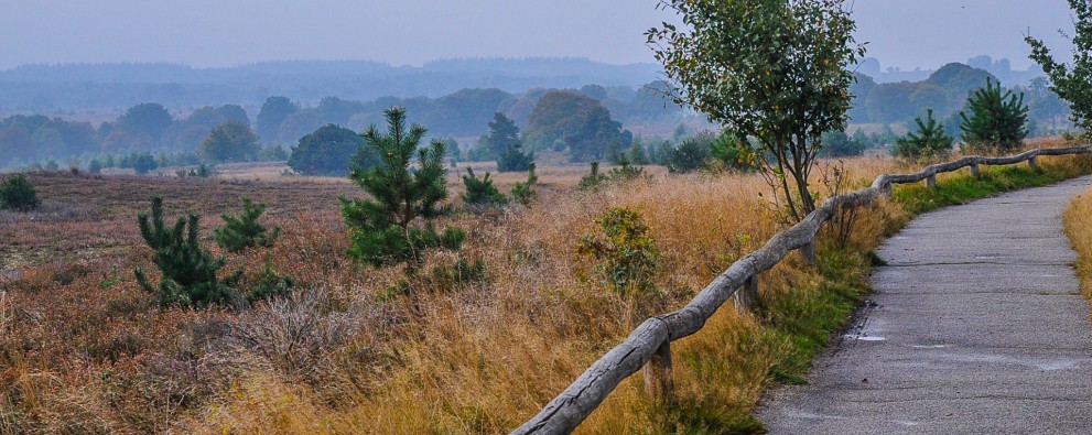 Holterberg_Sallandse_Heuvelrug_Uitkijkpunt.jpg