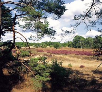 Holterberg