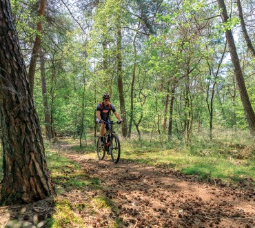 Camping de Holterberg - camping in Overijssel  - Mountainbiken bij Holterberg