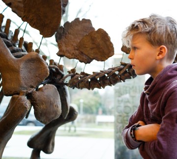 Natura Docet Wonderryck Twente - Stegosaurus - FredErnst-30cm.jpg