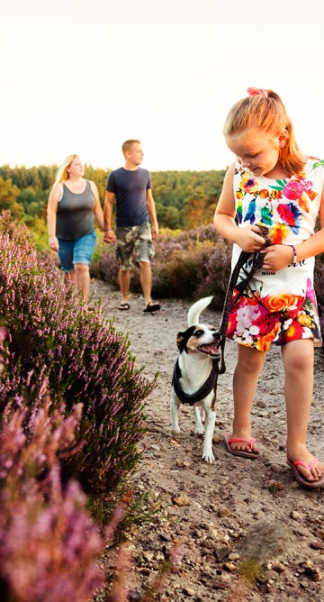 Toerisme Rijssen-Holten_Wandelen_Heide_Holterberg.jpg