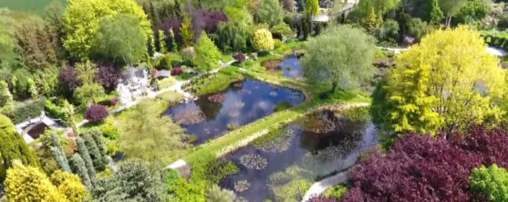 The Pond Gardens of Ada Hofman