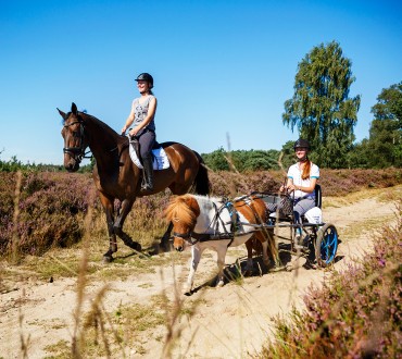 Toerisme Rijssen-Holten_Paardrijden_Holterberg.jpg