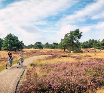 Nationaalpark De Hoge Veluwe _JDP9150830-5693D2-srs.jpg
